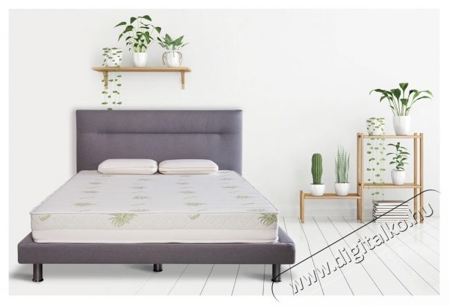 Ted Aloe Memory matrac, 19 cm, 180x200 cm Sz&eacute;ps&eacute;g&aacute;pol&aacute;s / Eg&eacute;szs&eacute;g - Egy&eacute;b sz&eacute;ps&eacute;g / eg&eacute;szs&eacute;g term&eacute;k - 537441