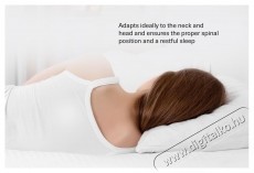 Ted Memory P&aacute;rna, Argan Deluxe Aero esszenci&aacute;val, elt&aacute;vol&iacute;that&oacute; moshat&oacute; huzat, 60x40x12cm Sz&eacute;ps&eacute;g&aacute;pol&aacute;s / Eg&eacute;szs&eacute;g - Egy&eacute;b sz&eacute;ps&eacute;g / eg&eacute;szs&eacute;g term&eacute;k - 537443