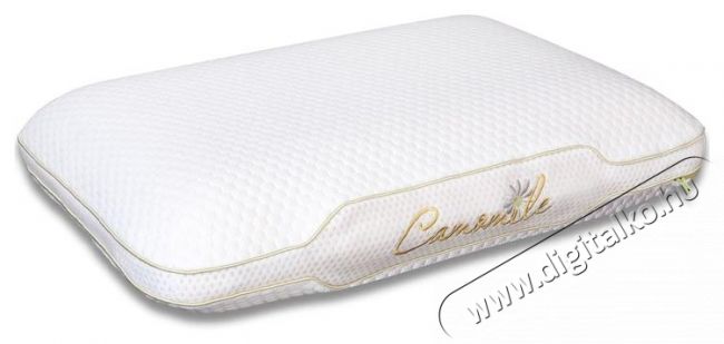 Ted Memory p&aacute;rna, Sleep Relax, elt&aacute;vol&iacute;that&oacute; moshat&oacute; huzat, 60x40x12 cm Sz&eacute;ps&eacute;g&aacute;pol&aacute;s / Eg&eacute;szs&eacute;g - Egy&eacute;b sz&eacute;ps&eacute;g / eg&eacute;szs&eacute;g term&eacute;k - 537447