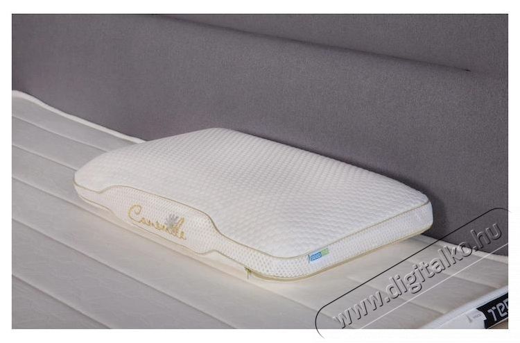 Ted Memory p&aacute;rna, Sleep Relax, elt&aacute;vol&iacute;that&oacute; moshat&oacute; huzat, 60x40x12 cm Sz&eacute;ps&eacute;g&aacute;pol&aacute;s / Eg&eacute;szs&eacute;g - Egy&eacute;b sz&eacute;ps&eacute;g / eg&eacute;szs&eacute;g term&eacute;k - 537447