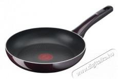 Tefal D5220483 serpenyő 24cm resist intense Konyhai term&eacute;kek - Ed&eacute;ny - Serpenyő - 379150