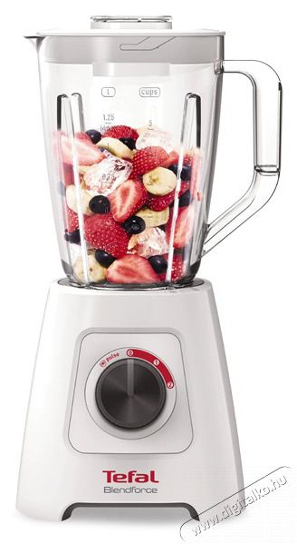 Tefal BL420131 turmixg&eacute;p Konyhai term&eacute;kek - Konyhai kisg&eacute;p (elők&eacute;sz&iacute;t&eacute;s / feldolgoz&aacute;s) - Turmixg&eacute;p - 455210