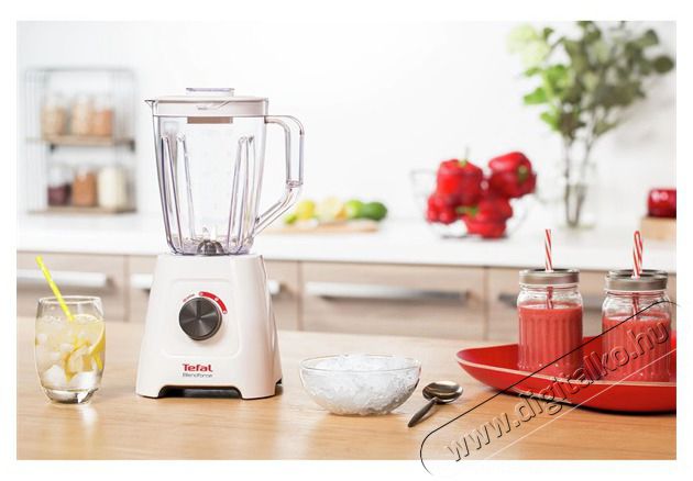 Tefal BL420131 turmixg&eacute;p Konyhai term&eacute;kek - Konyhai kisg&eacute;p (elők&eacute;sz&iacute;t&eacute;s / feldolgoz&aacute;s) - Turmixg&eacute;p - 455210