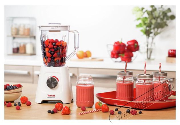 Tefal BL420131 turmixg&eacute;p Konyhai term&eacute;kek - Konyhai kisg&eacute;p (elők&eacute;sz&iacute;t&eacute;s / feldolgoz&aacute;s) - Turmixg&eacute;p - 455210