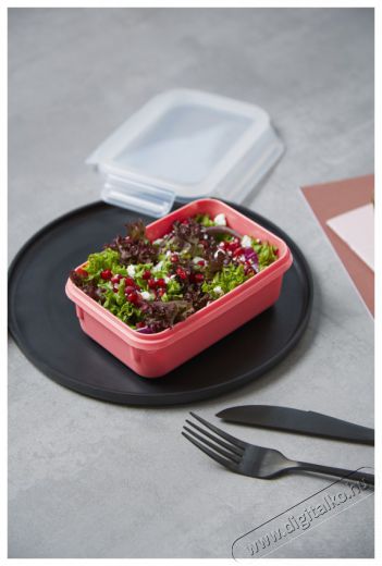 Tefal N1012910 N&eacute;gysz&ouml;gletű t&aacute;rol&oacute;ed&eacute;ny 2.2 L piros Konyhai term&eacute;kek - Konyhai eszk&ouml;z - Egy&eacute;b konyhai eszk&ouml;z - 465216