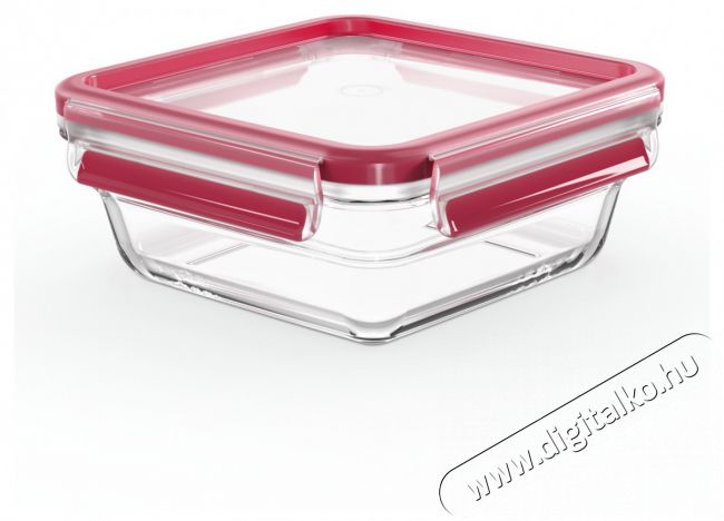 Tefal N1041410 N&eacute;gysz&ouml;gletű &uuml;veg t&aacute;rol&oacute;ed&eacute;ny  0,8 l Konyhai term&eacute;kek - Ed&eacute;ny - &Eacute;telt&aacute;rol&oacute; - 465237