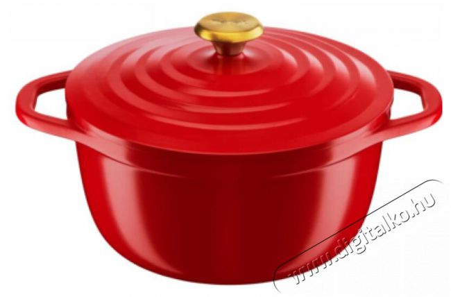 Tefal E2544655 ED&Eacute;NY FEDŐVEL Konyhai term&eacute;kek - Ed&eacute;ny - Faz&eacute;k / l&aacute;bas - 474362