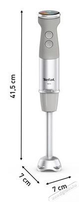 Tefal HB673B30 sz&uuml;rke botmixer k&eacute;szlet Konyhai term&eacute;kek - Konyhai kisg&eacute;p (elők&eacute;sz&iacute;t&eacute;s / feldolgoz&aacute;s) - Botmixer - 502427