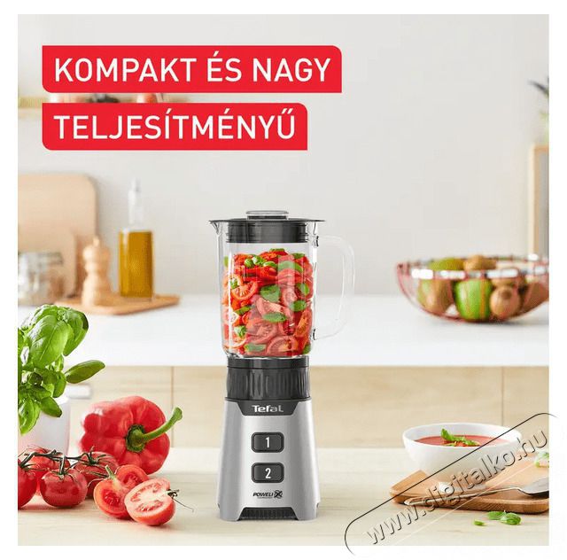 Tefal BL16GE30 ez&uuml;st turmix Konyhai term&eacute;kek - Konyhai kisg&eacute;p (elők&eacute;sz&iacute;t&eacute;s / feldolgoz&aacute;s) - Turmixg&eacute;p - 502394