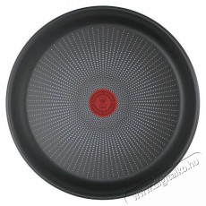 Tefal L897SJ04 Ingenio Emotion 20 db Konyhai term&eacute;kek - Ed&eacute;ny - Ed&eacute;ny k&eacute;szlet - 520916