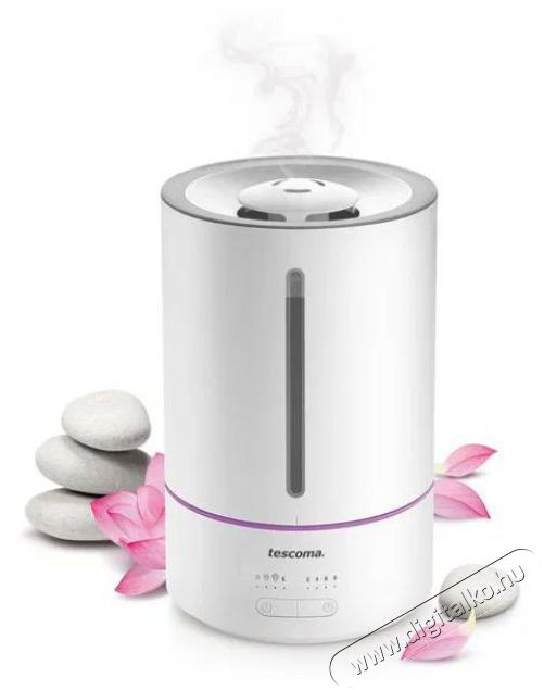 TESCOMA FANCY HOME Zen 4.6 l P&aacute;r&aacute;s&iacute;t&oacute; H&aacute;ztart&aacute;s / Otthon / K&uuml;lt&eacute;r - Lak&aacute;sfelszerel&eacute;s - Relax&aacute;ci&oacute;s term&eacute;k - 526443