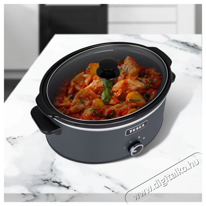 Tesla SlowCook S500 Konyhai term&eacute;kek - Konyhai kisg&eacute;p kieg&eacute;sz&iacute;tő - Multifunkci&oacute;s s&uuml;tő-főző kieg&eacute;sz&iacute;tő - 520982