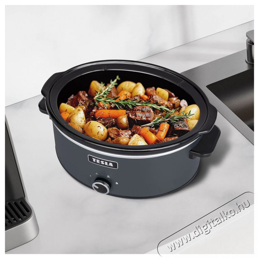 Tesla SlowCook S500 Konyhai term&eacute;kek - Konyhai kisg&eacute;p kieg&eacute;sz&iacute;tő - Multifunkci&oacute;s s&uuml;tő-főző kieg&eacute;sz&iacute;tő - 520982