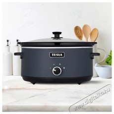 Tesla SlowCook S500 Konyhai term&eacute;kek - Konyhai kisg&eacute;p kieg&eacute;sz&iacute;tő - Multifunkci&oacute;s s&uuml;tő-főző kieg&eacute;sz&iacute;tő - 520982