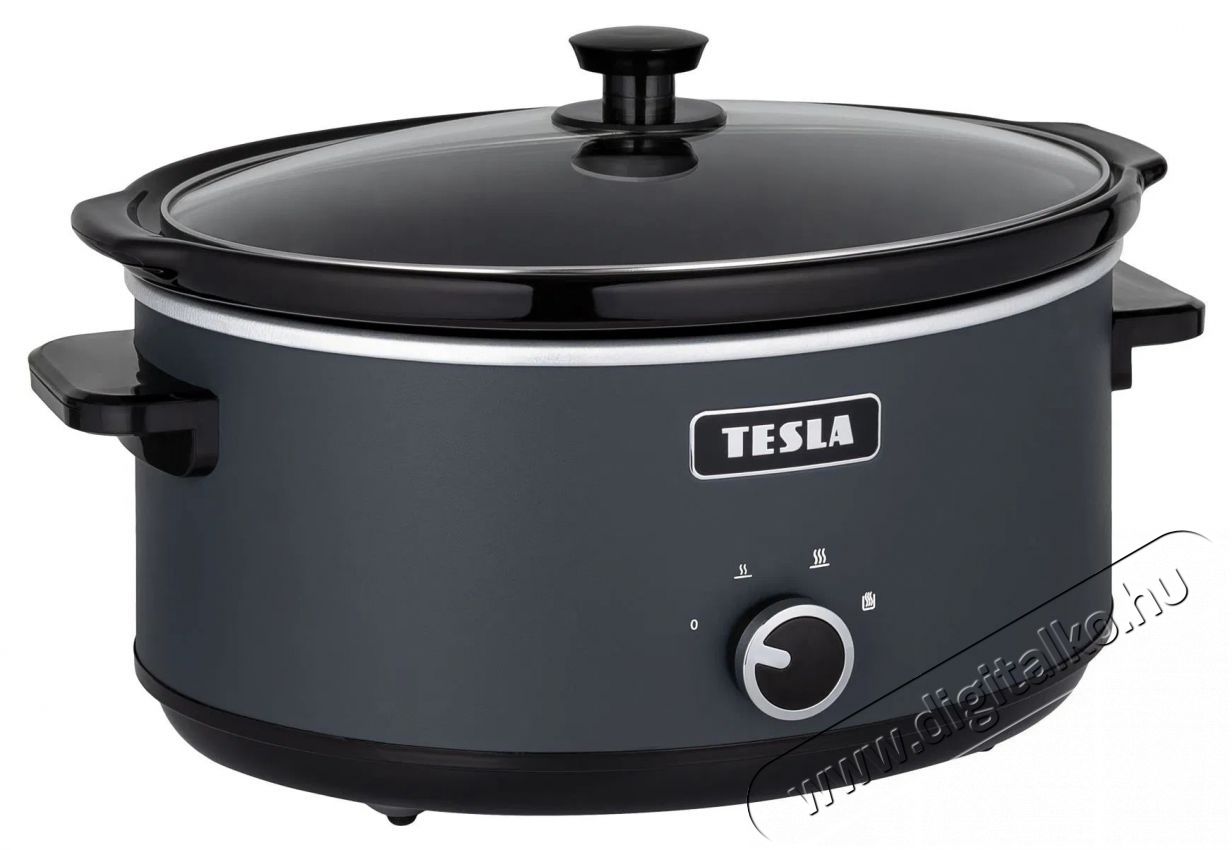 Tesla SlowCook S500 Konyhai term&eacute;kek - Konyhai kisg&eacute;p kieg&eacute;sz&iacute;tő - Multifunkci&oacute;s s&uuml;tő-főző kieg&eacute;sz&iacute;tő - 520982