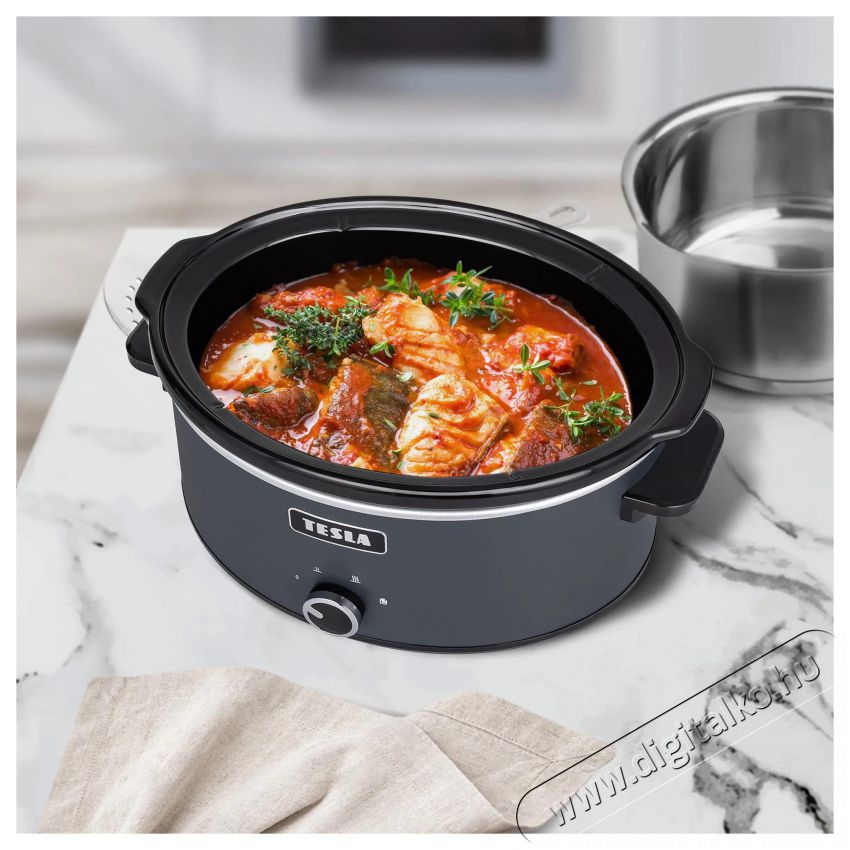 Tesla SlowCook S500 Konyhai term&eacute;kek - Konyhai kisg&eacute;p kieg&eacute;sz&iacute;tő - Multifunkci&oacute;s s&uuml;tő-főző kieg&eacute;sz&iacute;tő - 520982