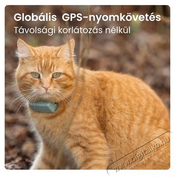 TRACTIVE Tractive GPS CAT Mini menta macska GPS nyomk&ouml;vető &eacute;s tev&eacute;kenys&eacute;gfigyelő H&aacute;ztart&aacute;s / Otthon / K&uuml;lt&eacute;r - Egy&eacute;b h&aacute;ztart&aacute;si term&eacute;k - 501902