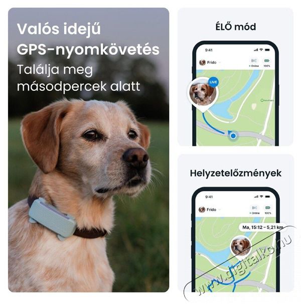 TRACTIVE Tractive GPS DOG 6 menta kutya GPS nyomk&ouml;vető &eacute;s tev&eacute;kenys&eacute;gfigyelő H&aacute;ztart&aacute;s / Otthon / K&uuml;lt&eacute;r - Egy&eacute;b h&aacute;ztart&aacute;si term&eacute;k - 501906