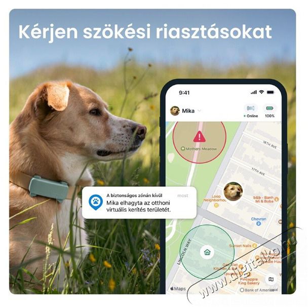 TRACTIVE Tractive GPS DOG 6 menta kutya GPS nyomk&ouml;vető &eacute;s tev&eacute;kenys&eacute;gfigyelő H&aacute;ztart&aacute;s / Otthon / K&uuml;lt&eacute;r - Egy&eacute;b h&aacute;ztart&aacute;si term&eacute;k - 501906
