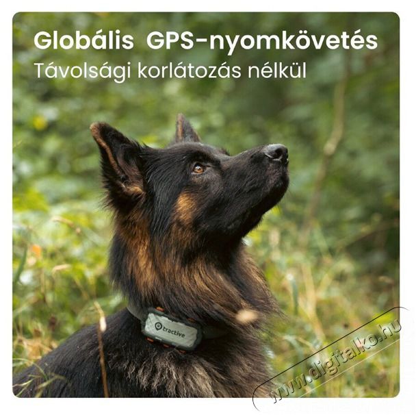 TRACTIVE Tractive GPS DOG XL Adventure Edition kutya GPS nyomk&ouml;vető &eacute;s tev&eacute;kenys&eacute;gfigyelő H&aacute;ztart&aacute;s / Otthon / K&uuml;lt&eacute;r - Egy&eacute;b h&aacute;ztart&aacute;si term&eacute;k - 501904