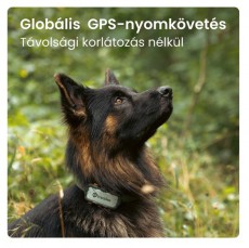 TRACTIVE Tractive GPS DOG XL Adventure Edition kutya GPS nyomk&ouml;vető &eacute;s tev&eacute;kenys&eacute;gfigyelő H&aacute;ztart&aacute;s / Otthon / K&uuml;lt&eacute;r - Egy&eacute;b h&aacute;ztart&aacute;si term&eacute;k - 501904