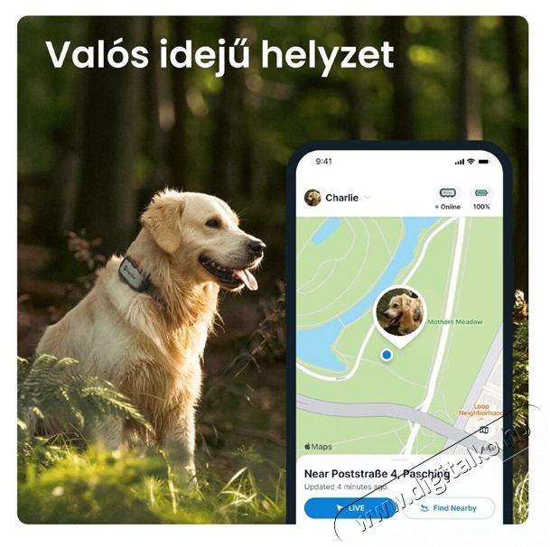 TRACTIVE Tractive GPS DOG XL Adventure Edition kutya GPS nyomk&ouml;vető &eacute;s tev&eacute;kenys&eacute;gfigyelő H&aacute;ztart&aacute;s / Otthon / K&uuml;lt&eacute;r - Egy&eacute;b h&aacute;ztart&aacute;si term&eacute;k - 501904