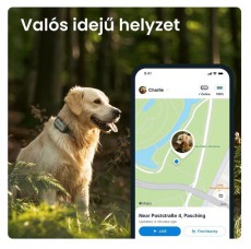 TRACTIVE Tractive GPS DOG XL Adventure Edition kutya GPS nyomk&ouml;vető &eacute;s tev&eacute;kenys&eacute;gfigyelő H&aacute;ztart&aacute;s / Otthon / K&uuml;lt&eacute;r - Egy&eacute;b h&aacute;ztart&aacute;si term&eacute;k - 501904
