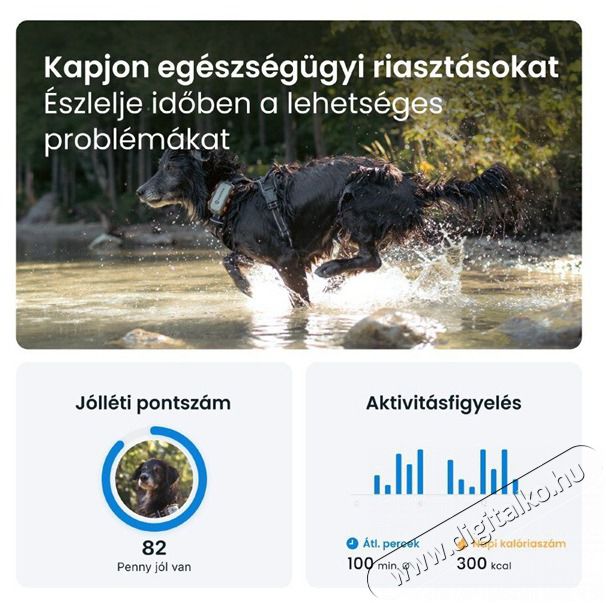 TRACTIVE Tractive GPS DOG XL Adventure Edition kutya GPS nyomk&ouml;vető &eacute;s tev&eacute;kenys&eacute;gfigyelő H&aacute;ztart&aacute;s / Otthon / K&uuml;lt&eacute;r - Egy&eacute;b h&aacute;ztart&aacute;si term&eacute;k - 501904