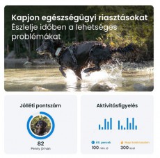 TRACTIVE Tractive GPS DOG XL Adventure Edition kutya GPS nyomk&ouml;vető &eacute;s tev&eacute;kenys&eacute;gfigyelő H&aacute;ztart&aacute;s / Otthon / K&uuml;lt&eacute;r - Egy&eacute;b h&aacute;ztart&aacute;si term&eacute;k - 501904