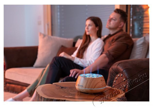 TRUELIFE AIR Diffuser D9 Smart diff&uacute;zor Sz&eacute;ps&eacute;g&aacute;pol&aacute;s / Eg&eacute;szs&eacute;g - L&eacute;gtiszt&iacute;t&oacute; / p&aacute;r&aacute;s&iacute;t&oacute; / p&aacute;r&aacute;tlan&iacute;t&oacute; - P&aacute;r&aacute;s&iacute;t&oacute; - 481103