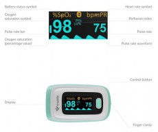 TRUELIFE Oximeter X5 BT pulzoxim&eacute;ter Sz&eacute;ps&eacute;g&aacute;pol&aacute;s / Eg&eacute;szs&eacute;g - V&eacute;rnyom&aacute;sm&eacute;rő - Kieg&eacute;sz&iacute;tő - 484071