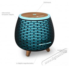 TRUELIFE AIR Diffuser D4 Aroma diff&uacute;zor Sz&eacute;ps&eacute;g&aacute;pol&aacute;s / Eg&eacute;szs&eacute;g - L&eacute;gtiszt&iacute;t&oacute; / p&aacute;r&aacute;s&iacute;t&oacute; / p&aacute;r&aacute;tlan&iacute;t&oacute; - P&aacute;r&aacute;s&iacute;t&oacute; - 526519