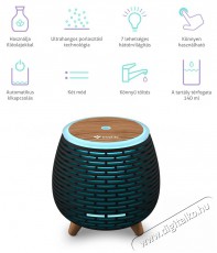 TRUELIFE AIR Diffuser D4 Aroma diff&uacute;zor Sz&eacute;ps&eacute;g&aacute;pol&aacute;s / Eg&eacute;szs&eacute;g - L&eacute;gtiszt&iacute;t&oacute; / p&aacute;r&aacute;s&iacute;t&oacute; / p&aacute;r&aacute;tlan&iacute;t&oacute; - P&aacute;r&aacute;s&iacute;t&oacute; - 526519