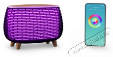 TRUELIFE AIR Diffuser D6 Aroma diff&uacute;zor Sz&eacute;ps&eacute;g&aacute;pol&aacute;s / Eg&eacute;szs&eacute;g - L&eacute;gtiszt&iacute;t&oacute; / p&aacute;r&aacute;s&iacute;t&oacute; / p&aacute;r&aacute;tlan&iacute;t&oacute; - P&aacute;r&aacute;s&iacute;t&oacute; - 526520