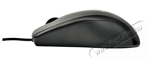 Trust Carve USB eg&eacute;r - fekete Iroda &eacute;s sz&aacute;m&iacute;t&aacute;stechnika - Eg&eacute;r - Vezet&eacute;kes eg&eacute;r - 368526