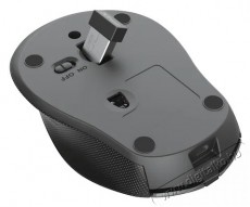 Trust Zaya vezet&eacute;k n&eacute;lk&uuml;li optikai eg&eacute;r - fekete Iroda &eacute;s sz&aacute;m&iacute;t&aacute;stechnika - Eg&eacute;r - Vezet&eacute;k n&eacute;lk&uuml;li eg&eacute;r - 379989