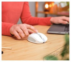 Trust Ozaa Compact vezet&eacute;k n&eacute;lk&uuml;li feh&eacute;r eg&eacute;r Iroda &eacute;s sz&aacute;m&iacute;t&aacute;stechnika - Eg&eacute;r - Vezet&eacute;k n&eacute;lk&uuml;li eg&eacute;r - 513374