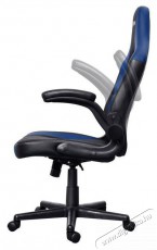 Trust GXT703B RIYE Gaming Chair, k&eacute;k H&aacute;ztart&aacute;s / Otthon / K&uuml;lt&eacute;r - Egy&eacute;b h&aacute;ztart&aacute;si term&eacute;k - 518462