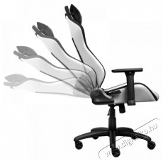 Trust GXT714W RUYA ECO Gaming Chair, feh&eacute;r H&aacute;ztart&aacute;s / Otthon / K&uuml;lt&eacute;r - Egy&eacute;b h&aacute;ztart&aacute;si term&eacute;k - 518461