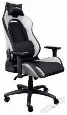 Trust GXT714W RUYA ECO Gaming Chair, feh&eacute;r H&aacute;ztart&aacute;s / Otthon / K&uuml;lt&eacute;r - Egy&eacute;b h&aacute;ztart&aacute;si term&eacute;k - 518461