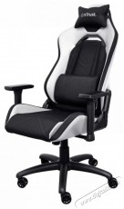 Trust GXT714W RUYA ECO Gaming Chair, feh&eacute;r H&aacute;ztart&aacute;s / Otthon / K&uuml;lt&eacute;r - Egy&eacute;b h&aacute;ztart&aacute;si term&eacute;k - 518461