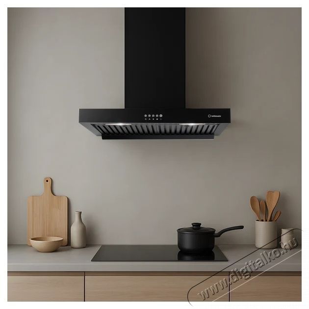 Turbionaire THC60WPB, Dekorat&iacute;v be&eacute;p&iacute;tett p&aacute;raelsz&iacute;v&oacute; Konyhai term&eacute;kek - P&aacute;raelsz&iacute;v&oacute; - Be&eacute;p&iacute;thető / kih&uacute;zhat&oacute; - 533931