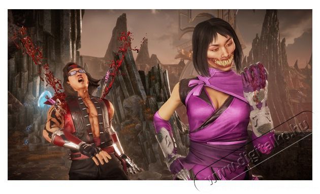 WARNER BROS Mortal Kombat 11: Ultimate Edition Nintendo Switch j&aacute;t&eacute;kszoftver Iroda &eacute;s sz&aacute;m&iacute;t&aacute;stechnika - J&aacute;t&eacute;k konzol - Kieg&eacute;sz&iacute;tő - 389729