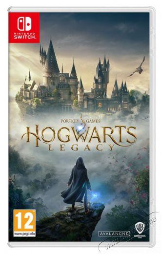 WARNER BROS Hogwarts Legacy Nintendo Switch j&aacute;t&eacute;kszoftver Iroda &eacute;s sz&aacute;m&iacute;t&aacute;stechnika - J&aacute;t&eacute;k konzol - Kieg&eacute;sz&iacute;tő - 466413