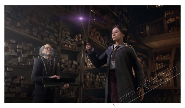WARNER BROS Hogwarts Legacy Nintendo Switch j&aacute;t&eacute;kszoftver Iroda &eacute;s sz&aacute;m&iacute;t&aacute;stechnika - J&aacute;t&eacute;k konzol - Kieg&eacute;sz&iacute;tő - 466413