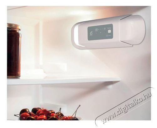 Whirlpool ARG 86122 HŰTŐ BE&Eacute;P&Iacute;THETŐ EGYAJT&Oacute;S Konyhai term&eacute;kek - Hűtő, fagyaszt&oacute; (be&eacute;p&iacute;thető) - Egyajt&oacute;s hűtő - 496658