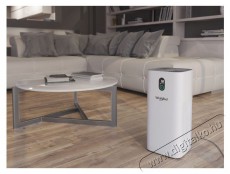 Whirlpool AP330W l&eacute;gtiszt&iacute;t&oacute; Sz&eacute;ps&eacute;g&aacute;pol&aacute;s / Eg&eacute;szs&eacute;g - L&eacute;gtiszt&iacute;t&oacute; / p&aacute;r&aacute;s&iacute;t&oacute; / p&aacute;r&aacute;tlan&iacute;t&oacute; - L&eacute;gtiszt&iacute;t&oacute; - 499655