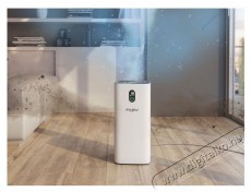 Whirlpool AP330W l&eacute;gtiszt&iacute;t&oacute; Sz&eacute;ps&eacute;g&aacute;pol&aacute;s / Eg&eacute;szs&eacute;g - L&eacute;gtiszt&iacute;t&oacute; / p&aacute;r&aacute;s&iacute;t&oacute; / p&aacute;r&aacute;tlan&iacute;t&oacute; - L&eacute;gtiszt&iacute;t&oacute; - 499655