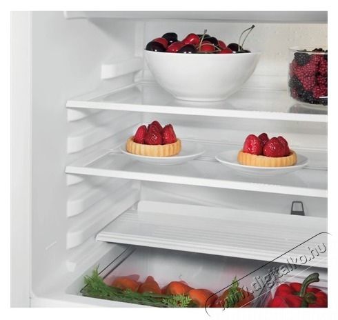 Whirlpool WBUL021 HŰTŐ BE&Eacute;P&Iacute;THETŐ EGYAJT&Oacute;S Konyhai term&eacute;kek - Hűtő, fagyaszt&oacute; (be&eacute;p&iacute;thető) - Egyajt&oacute;s hűtő - 502917