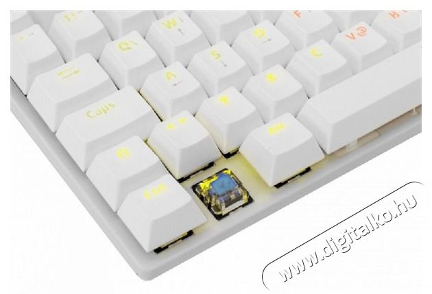 White Shark COMMANDOS GK-2106W/BL-HU feh&eacute;r mechanikus magyar (blue switch) gamer billentyűzet Iroda &eacute;s sz&aacute;m&iacute;t&aacute;stechnika - Billentyűzet / billentyűzet szett - Vezet&eacute;kes - 455877